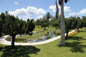 Palm Grove Gardens, Bermuda